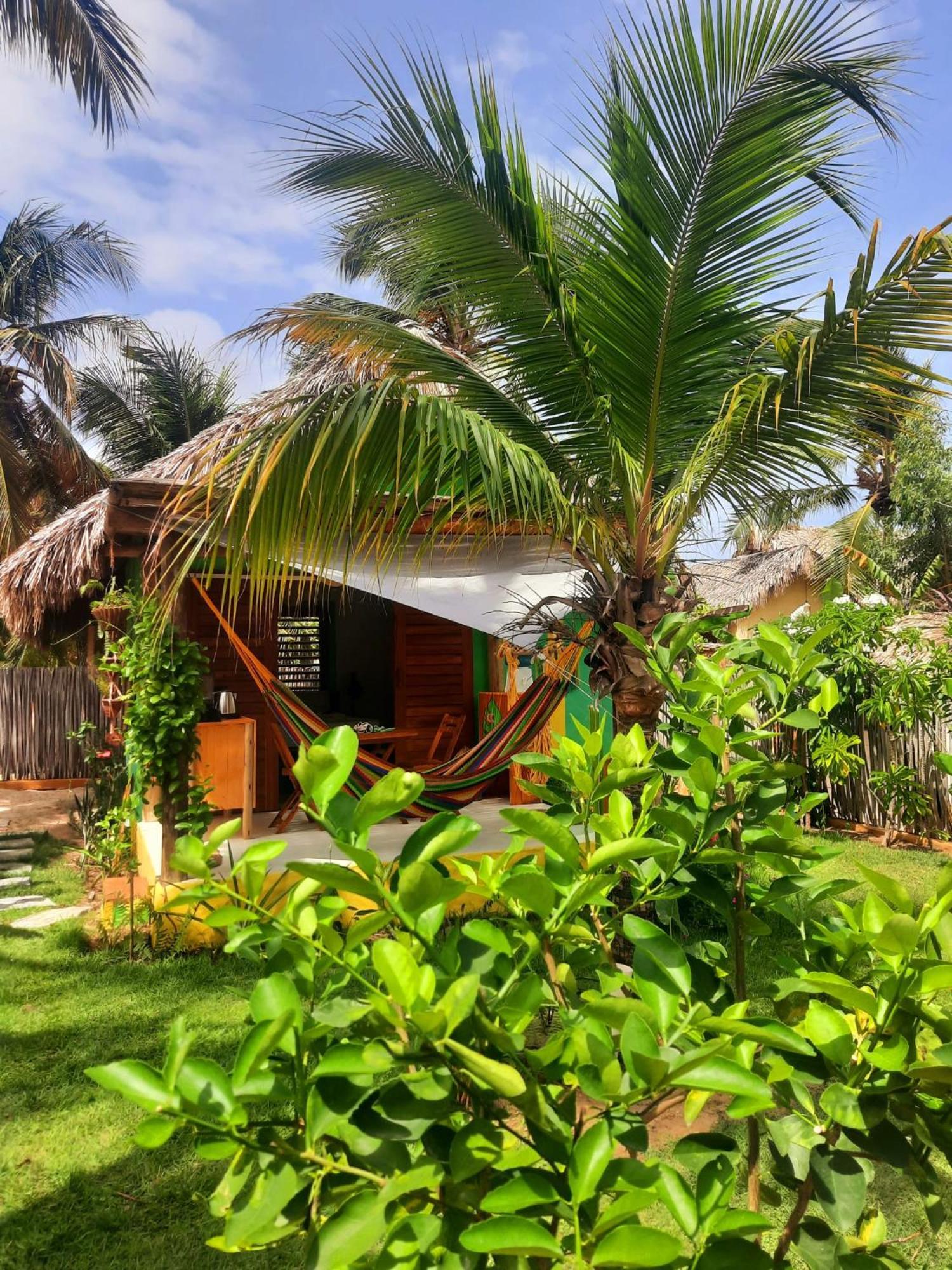 Coco - Kite Village