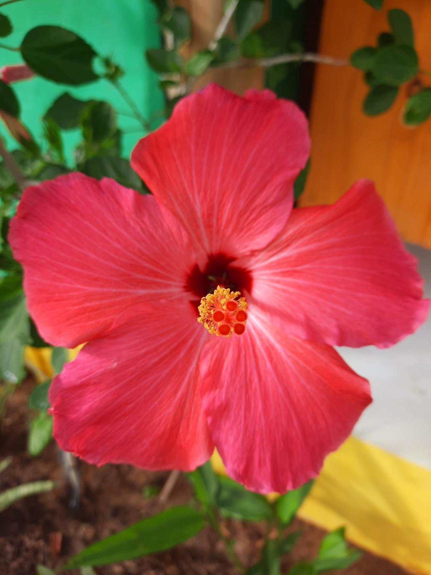 Coco - Kite Village Holiday home *