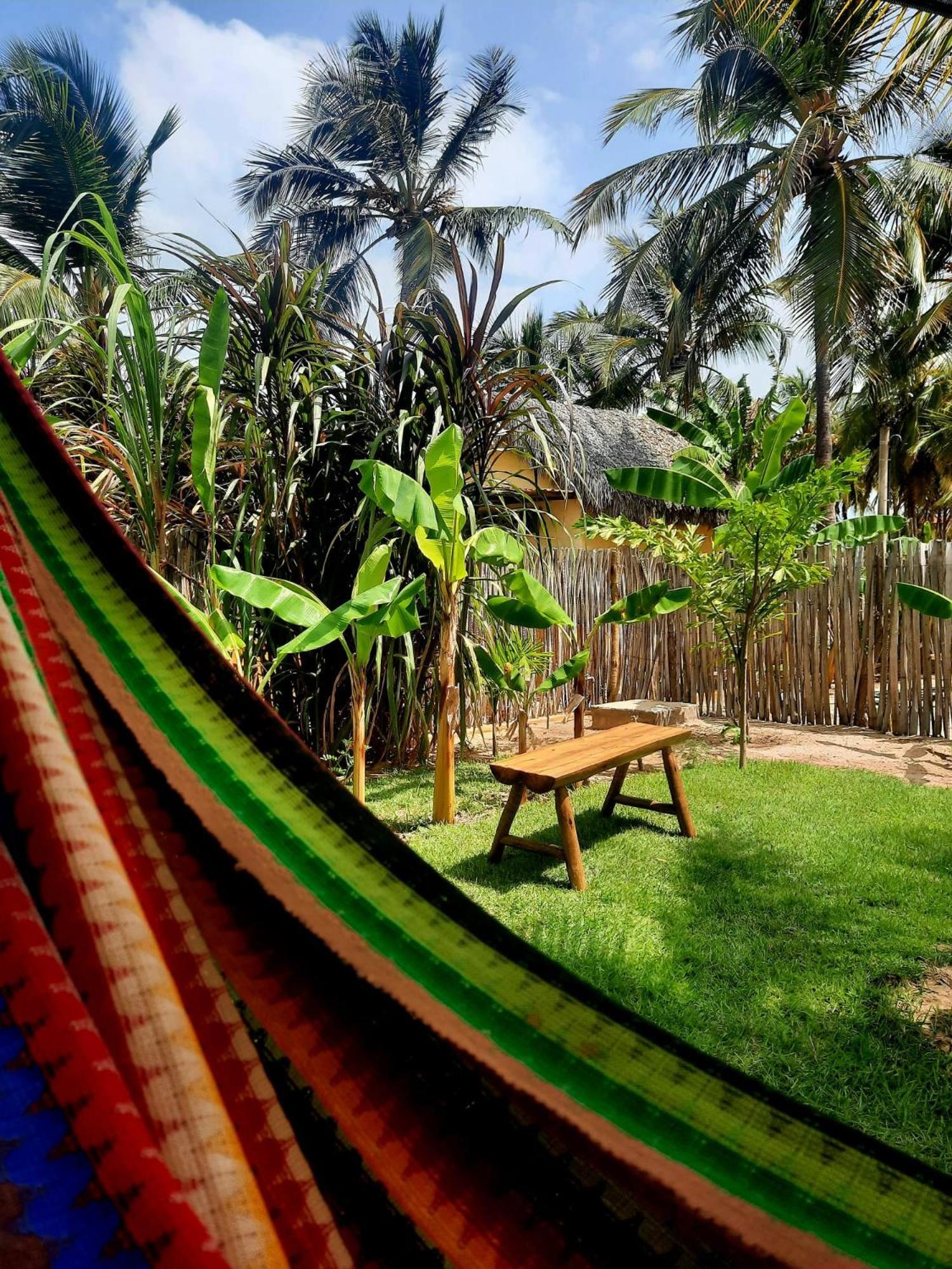 Coco - Kite Village *